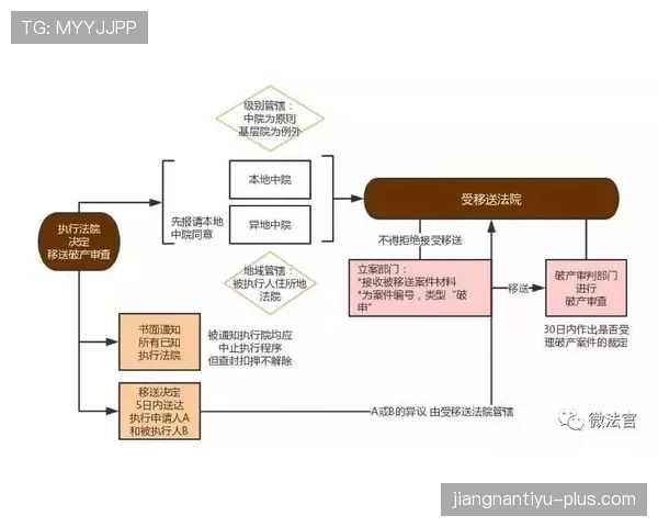 足球比赛申诉规则详解：申诉流程与裁判判罚影响解析